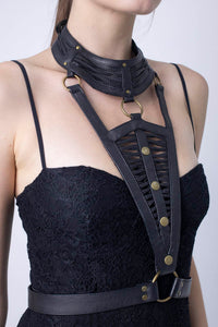 Dominik Harness