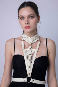 Dominik Harness