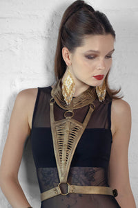 Dominik Harness